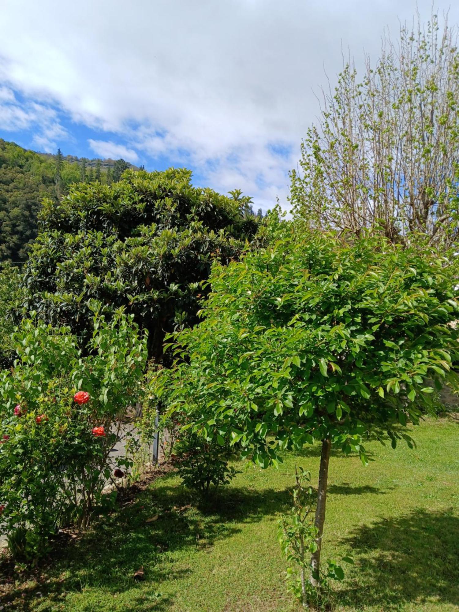 Picos De Europa Suites And Rooms Turieno Zewnętrze zdjęcie