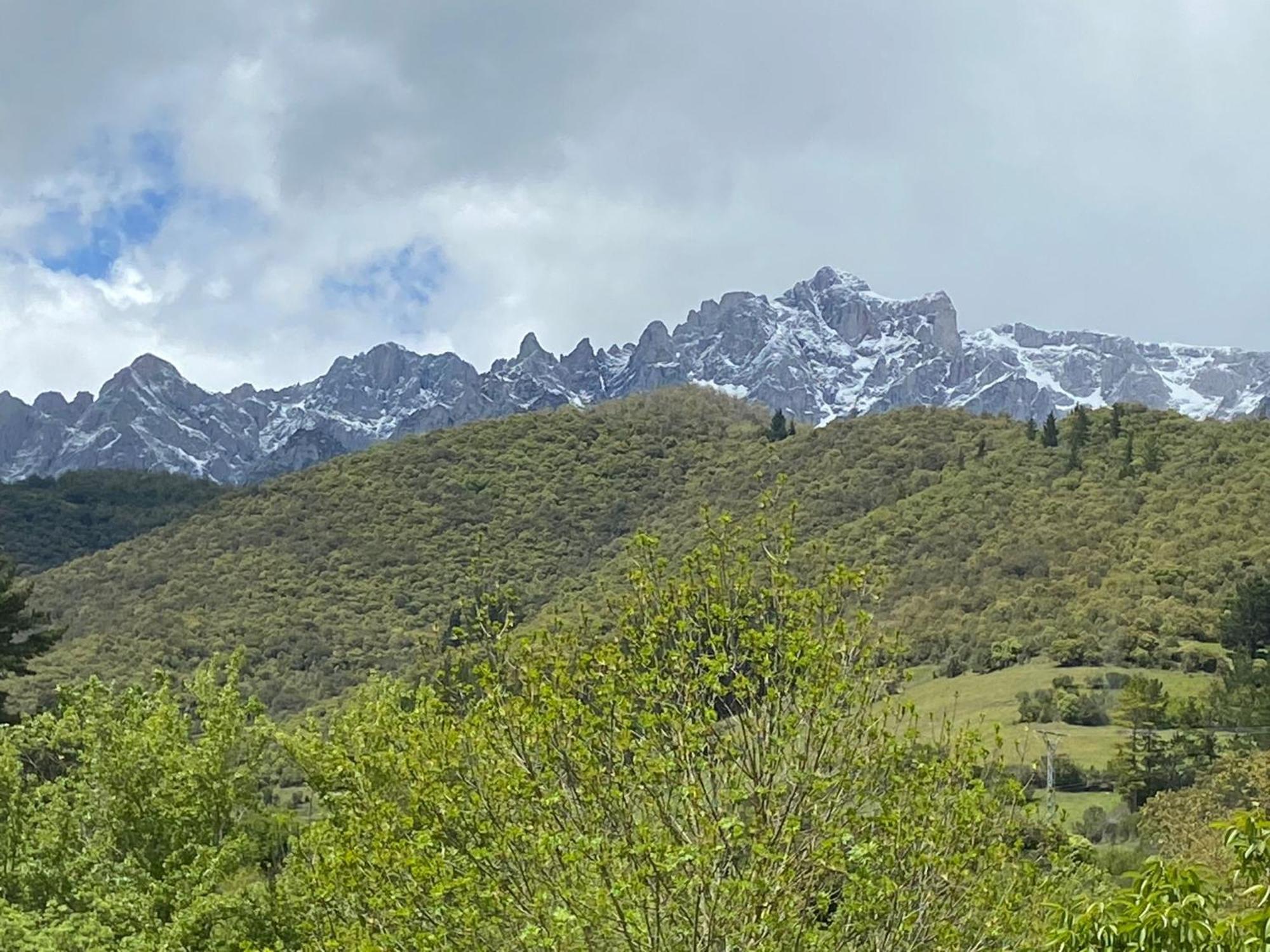 Picos De Europa Suites And Rooms Turieno Zewnętrze zdjęcie
