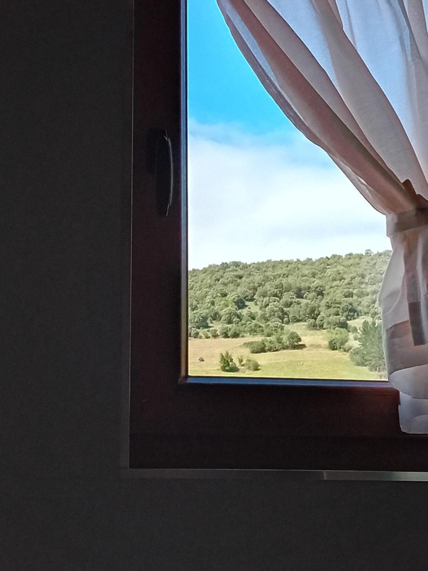Picos De Europa Suites And Rooms Turieno Zewnętrze zdjęcie