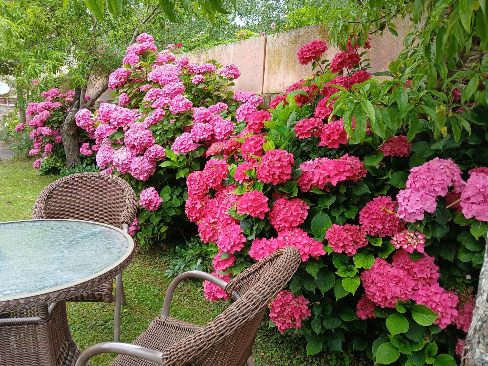 Picos De Europa Suites And Rooms Turieno Zewnętrze zdjęcie