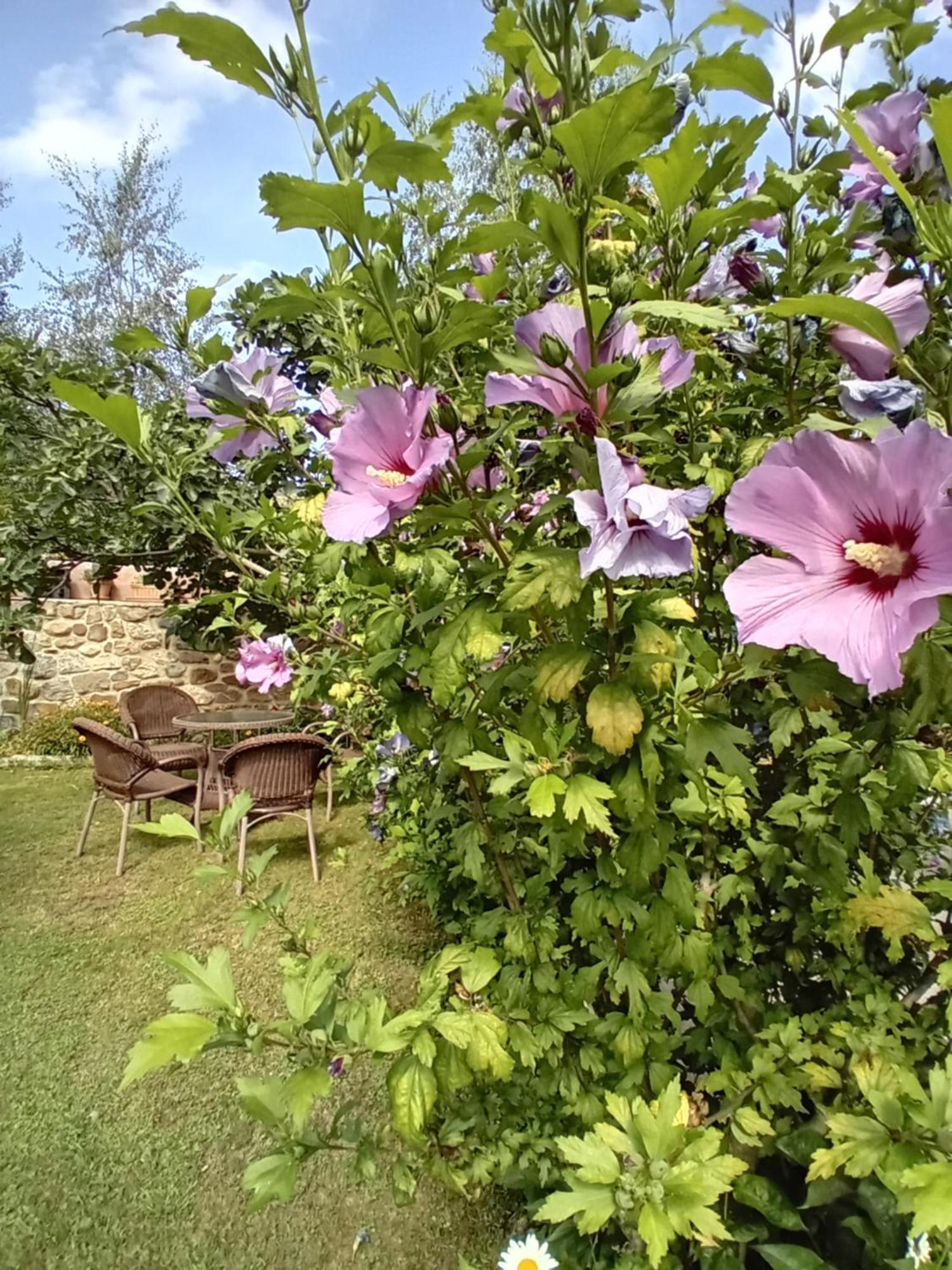 Picos De Europa Suites And Rooms Turieno Zewnętrze zdjęcie