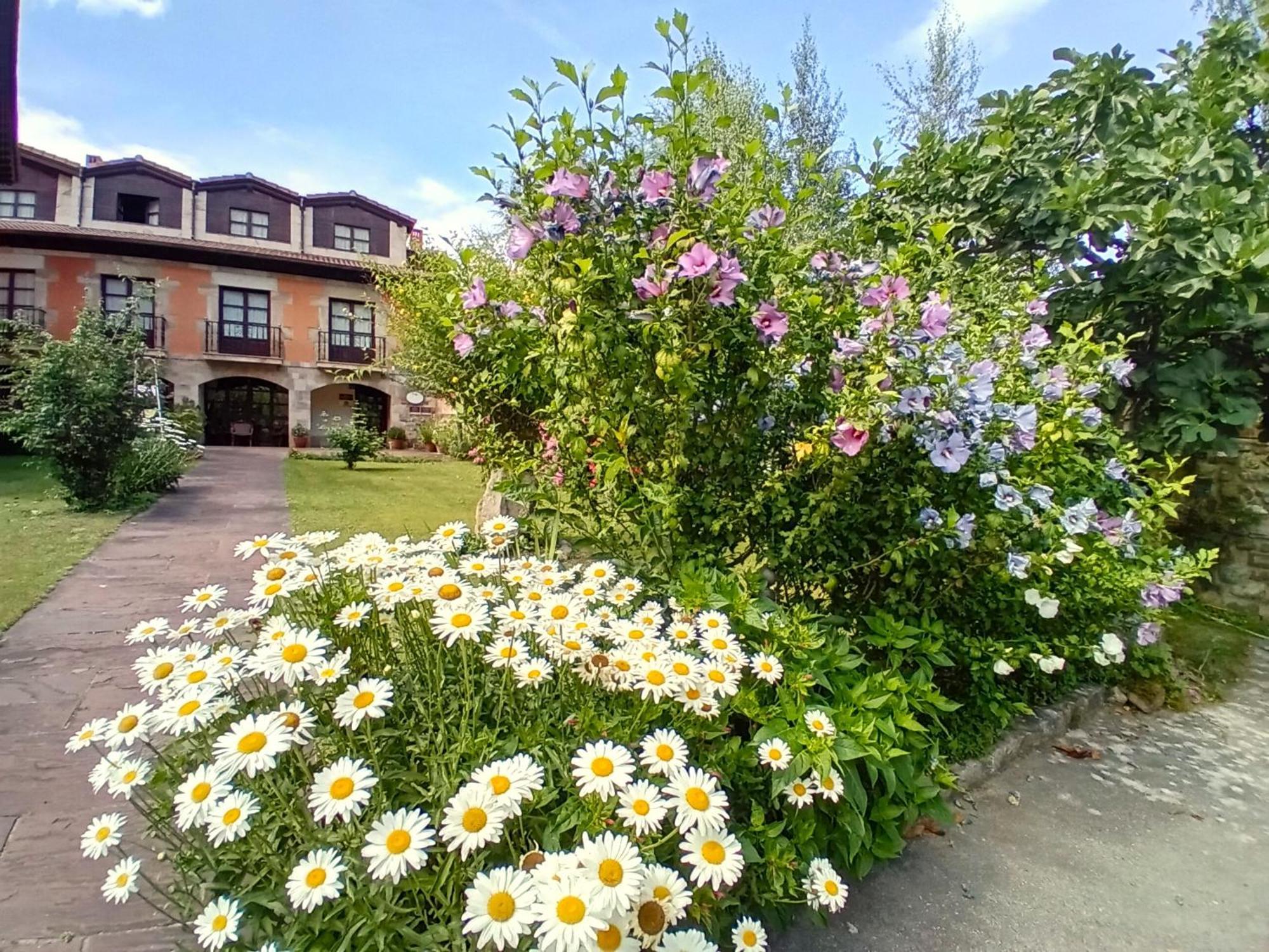 Picos De Europa Suites And Rooms Turieno Zewnętrze zdjęcie